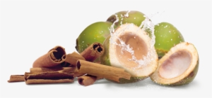 Buy Now - Green Coconut Coconut Png #1524546