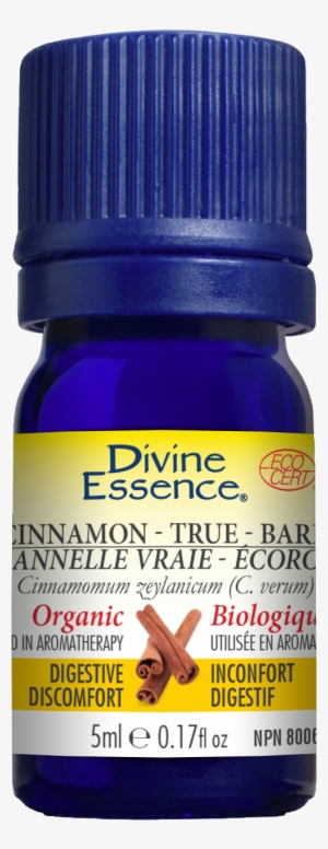 Share - Divine Essence Carrot Organic Essential Oil #1525033