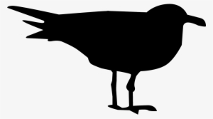 Seagulls Silhouette At Getdrawings - Ring Billed Gull Silhouette #1525532 Seagulls Silhouette At Getdrawings - Ring Billed Gull Silhouette #1525532