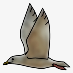 Gentoo Penguin #1525621