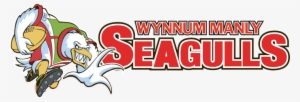 Match Report - Wynnum Manly Rugby League #1525845
