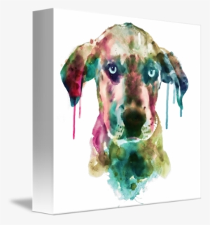 Cute Doggy By Marian Voicu - Marian Voicu #1526845