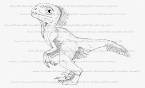Svg Stock Realistic Raptor Featherd Non Interest Lioden - Baby Velociraptor Draw #1526890