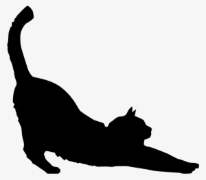 Black Cat Silhouette Kitten #1526993