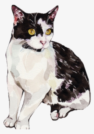 Concept Seven - Illustration #1527311