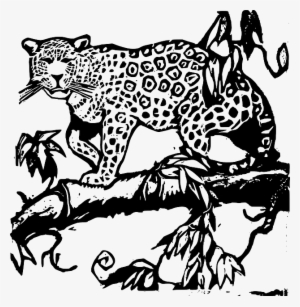 Animals, Baby, Cat, Silhouette, Cartoon, Wood, Cut - Jaguar Black N White #1527407