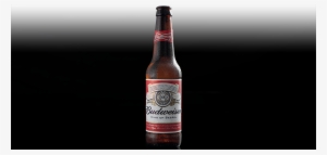 Drinks - Budweiser - Beer Bottle #1527729