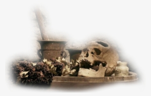 Potion-007 - Still Life Photography #1527840