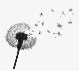 Dandelion Seed Png - Dandelion Tattoo Designs #1528009
