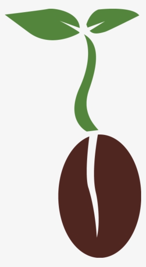 Seed Png Clipart - Seed Png #1528087
