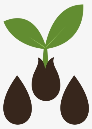 Image Transparent Stock Image Result For Pinterest - Mlp Seed Cutie Mark #1528151