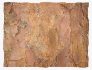 Deep Rust Tree Bark - Plywood #1528201