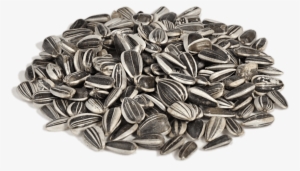 Free Png Sunflower Seeds Png Images Transparent - Sunflower Seeds Png #1528341
