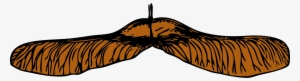This Free Icons Png Design Of Maple Seed #1528572