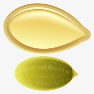 Pumpkin Seed Png Clip Art - Pumpkin Seed Clip Art #1528577