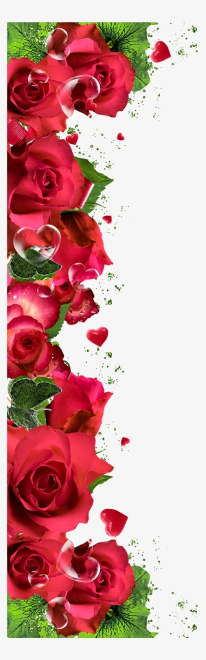 Rose Flower Borders Frames Png #1528782