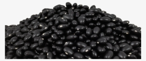 Seeds - Pebble #1528808