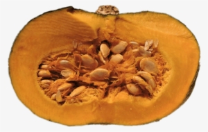 Half Pumpkin With Visible Seeds - Pumpkin Seeds #1528858