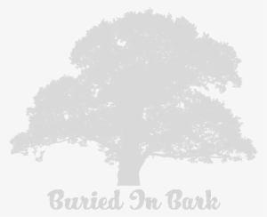 About - Old Oak Tree Silhouette #1528973