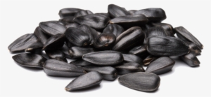 Sunflower Seeds Png - Sunflower Seed #1529012