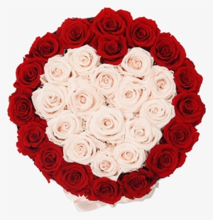 Orb Grand Red And Baby Pink Heart Roses - Rose #1529247