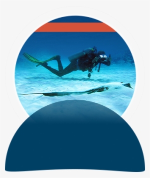 Included - Sea #1529663