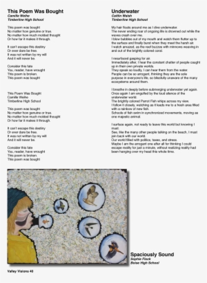 This Poem Was Bought Underwater Uneaten Cake This Poem - Poetry #1529704