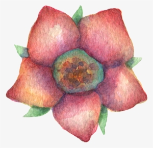 Hand Painted Dark Red Flowers Watercolor Transparent #1529919