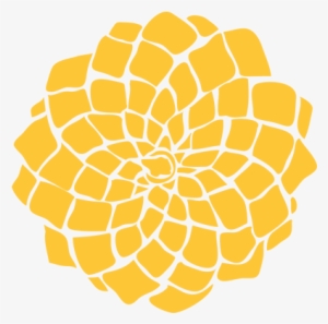 Seedless Fruit #1530941