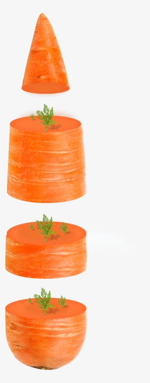 Carrot Vegetable Orange Computer - Carrot #1531249