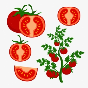 Clip Art Freeuse Cherry Tomato Clip Art Grow Tomatoes #1531293