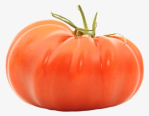 Beefsteak Tomato - Tomate De Marmande #1531391