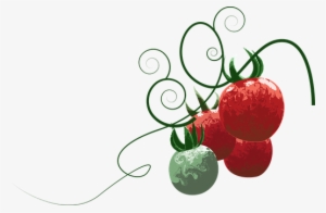 Tomato, Fruit, Food, Healthy, Fresh - Fruit #1531410