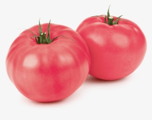 Curio Tomatoes Loose Product Image - Mucci Farms Ltd. #1531440