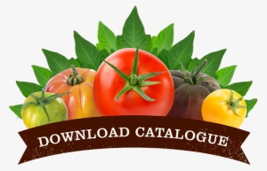 We Are Incredibly Proud To Have The Same Customers - Stock Illustration #1531562