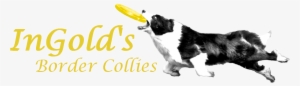 Ingold's Border Collies - Qi Gong: Les 28 Pétales Du Lotus [book] #1531696