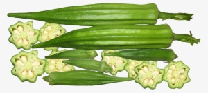 An Abundance Of Tomatoes & Okra - Okra Controls Hunger And Diabetes Lowers Cholesterol #1531830