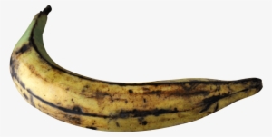 Free Png Plantain Banana Png Images Transparent - Plantain Png #1531939