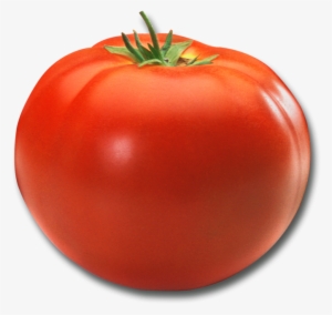 4 Large Tomato - Tomaat Png #1532337