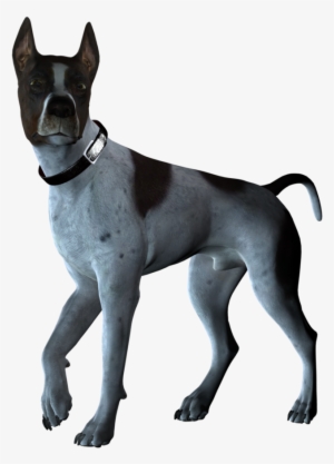 Perro-grande - Pet Dog Png Stock #1532956
