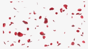Rose Petals Png Image1 - Rose Petals Png Gif #1533257