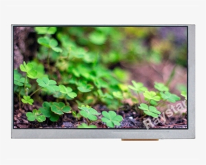 7 Tft Lcd Display Panel - Wallpaper #1533669