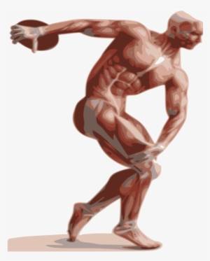 Discobolus Human Body Muscle Anatomy Mural - Neuromuscular Quick Pocket Reference #1533672