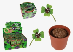 Boys Creative Activity Kit Toy - Zoob Car Designer #1533698