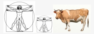 Vitruvian Men & Cow-1 - Drawing #1533701