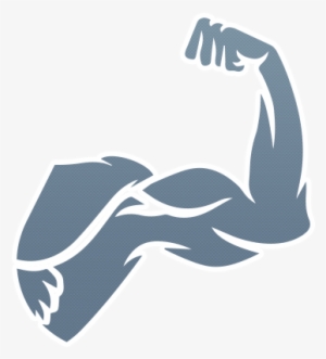 C9 T11 - Muscle Gain Clipart Png #1533763