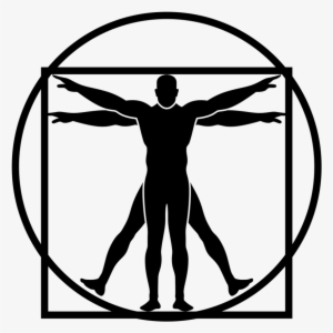 Vitruvian Man Png #1533853 Vitruvian Man Png #1533853