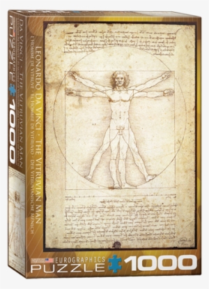 Vitruvian Man - Symmetry In The Body #1533922