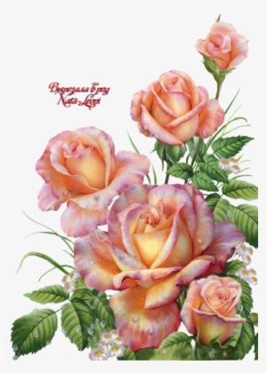 0 F3902 4f427529 Orig - Открытки С Днем Ангела Ольги #1533981