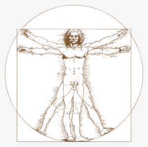 Certificates - Leonardo Da Vinci Vitruvian Man Tattoo #1534065